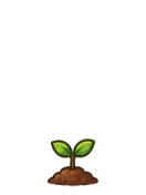 Tree, stage 1 of 6: Seedling