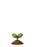 Tree at stage 1: Seedling