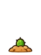 Cactus, stage 2 of 6: Nub