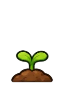 Daisy, stage 2 of 6: Sprout