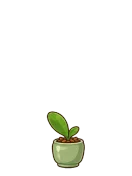 Orchid, stage 2 of 6: First Leaf