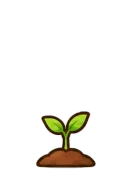 Willow, stage 2 of 6: Sprout
