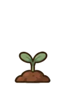Lavender, stage 2 of 6: Sprout
