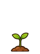Maple, stage 2 of 6: Sprout