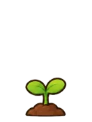 Sunflower, stage 2 of 6: Sprout