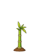 Bamboo, stage 3 of 6: First Cane