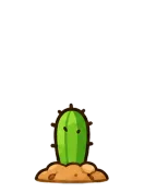 Cactus, stage 3 of 6: Small Cactus