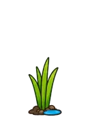 Cattail, stage 3 of 6: Reeds