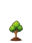 Classic tree, stage 3
