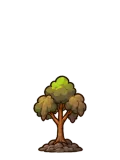 Quit-habit tree, stage 3 of 6