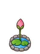 Lotus, stage 4 of 6: Bud