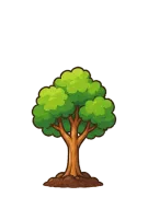 Tree at stage 4: Young Tree