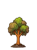 Quit-habit tree, stage 4 of 6