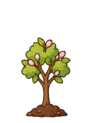 Sakura, stage 4 of 6: Young Tree