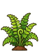 Fern, stage 5 of 6: Lush