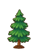Winter Pine, stage 5 of 6: Mature Tree