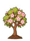 Cherry blossom, stage 5