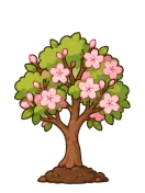 Sakura, stage 5 of 6: Mature Tree