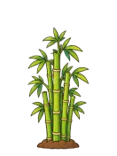 Bamboo, stage 5 of 6: Thicket
