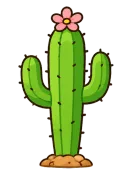 Cactus, stage 6 of 6: Desert Bloom
