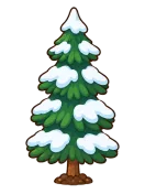 Winter Pine, stage 6 of 6: Snowy Evergreen
