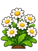 Daisy, stage 6 of 6: Daisy Patch