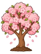 Sakura, stage 6 of 6: Full Blossom