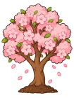 Cherry blossom, stage 6