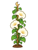 Moonflower, stage 6 of 6: Moonlit Bloom